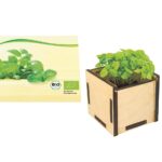 Bio Pflanzsteckbox 'Basilikum'